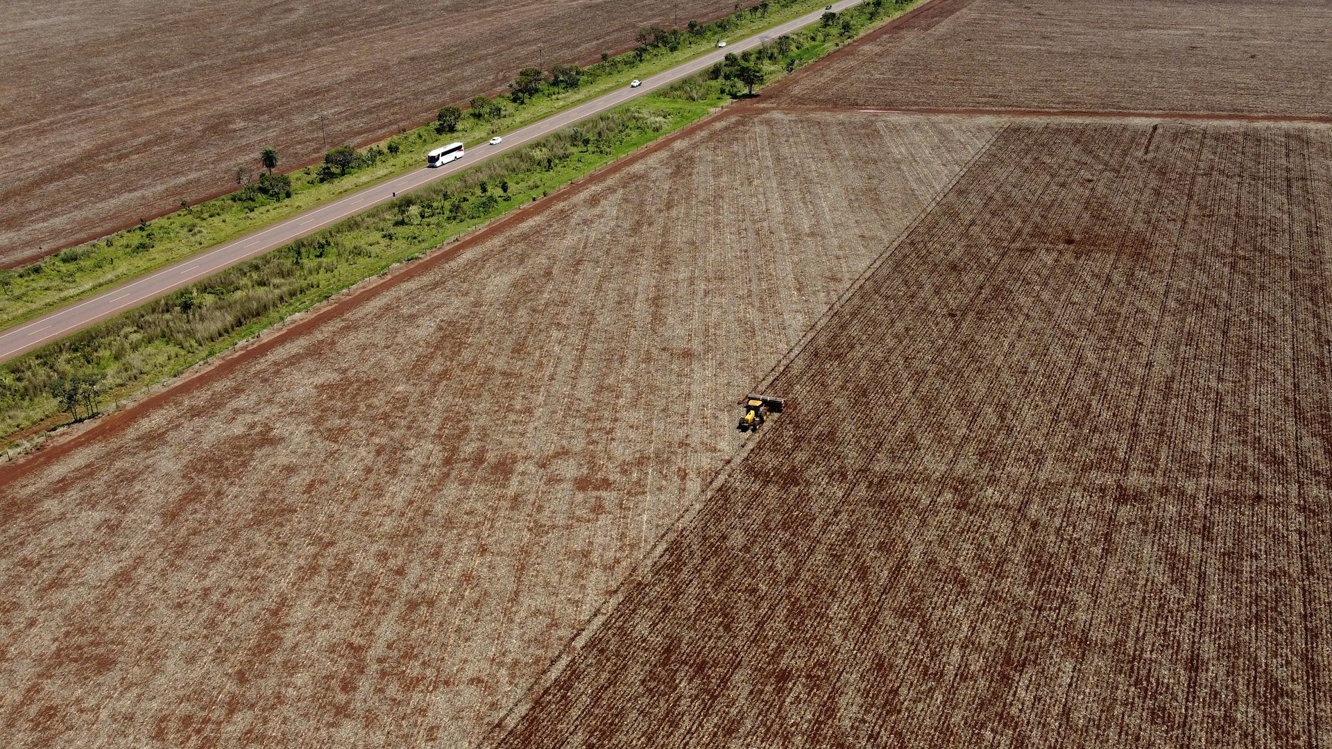 OPINIÃO: Bio é bio e agro é agro  a agricultura em tempos de crise