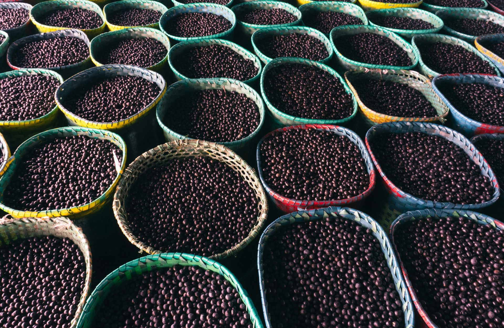 Caroço do açaí, um remédio natural contra obesidade e diabetes