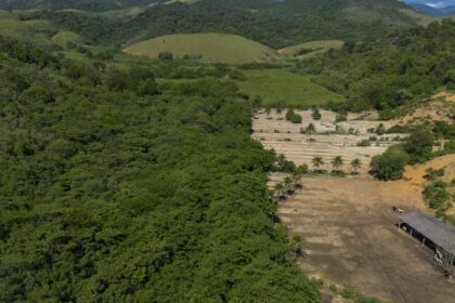 Atividades econômicas ilegais ampliaram desmatamento na Mata Atlântica