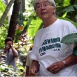 Vinte anos após morte de Dorothy Stang, conflitos em Anapu continuam