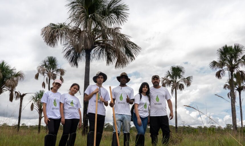 Olimpíada desafia estudantes a restaurar a natureza