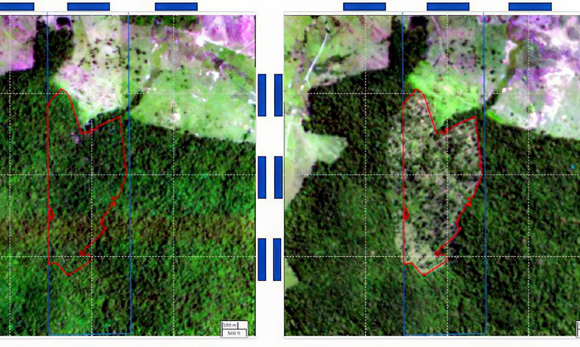 BNDES usa imagens de satélite para barrar empréstimo a desmatadores