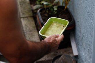 Menina é primeira morte por dengue confirmada na capital de São Paulo