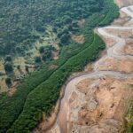 Pesquisa com bactérias na Amazônia pode desenvolver novos medicamentos