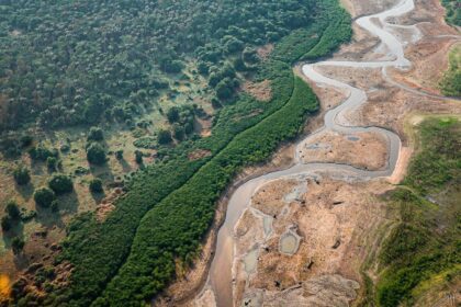 Pesquisa com bactérias na Amazônia pode desenvolver novos medicamentos