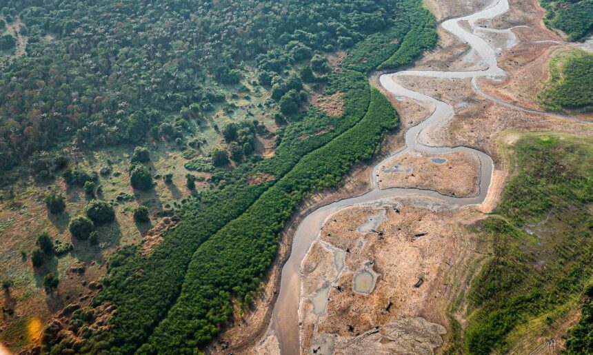 Pesquisa com bactérias na Amazônia pode desenvolver novos medicamentos