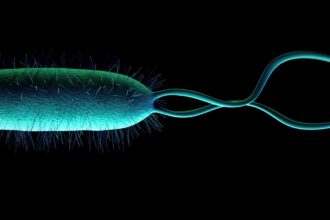 bacterias-em-nossos-estomagos-sao-exemplo-de-como-vida-extraterrestre-pode-se-desenvolver-em-ambientes-extremos