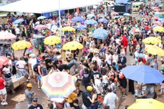 aplicativo-celular-seguro-tem-2,5-mil-alertas-de-bloqueio-no-carnaval