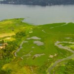 parque-na-orla-da-represa-guarapiranga-tem-261-especies-de-aves