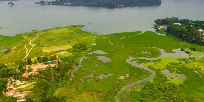 parque-na-orla-da-represa-guarapiranga-tem-261-especies-de-aves