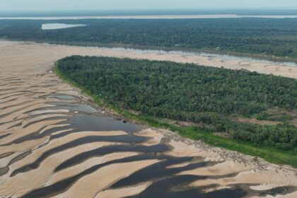 a-emergencia-climatica-e-os-peixes-da-amazonia:-o-que-a-ciencia-ensina-para-impedirmos-uma-perda-catastrofica-de-biodiversidade