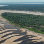 a-emergencia-climatica-e-os-peixes-da-amazonia:-o-que-a-ciencia-ensina-para-impedirmos-uma-perda-catastrofica-de-biodiversidade