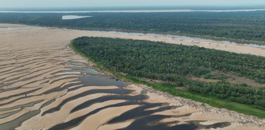 a-emergencia-climatica-e-os-peixes-da-amazonia:-o-que-a-ciencia-ensina-para-impedirmos-uma-perda-catastrofica-de-biodiversidade