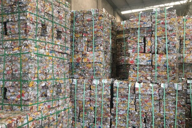 bndes-lanca-projeto-de-apoio-aos-catadores-de-materiais-reciclaveis