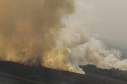 dino-homologa-parcialmente-plano-anti-incendios-na-amazonia-e-pantanal