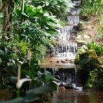 sistema-de-agua-com-mais-de-200-anos-abastece-jardim-botanico-do-rio