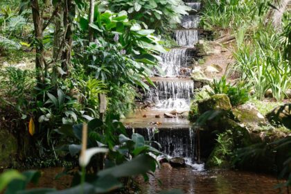 sistema-de-agua-com-mais-de-200-anos-abastece-jardim-botanico-do-rio