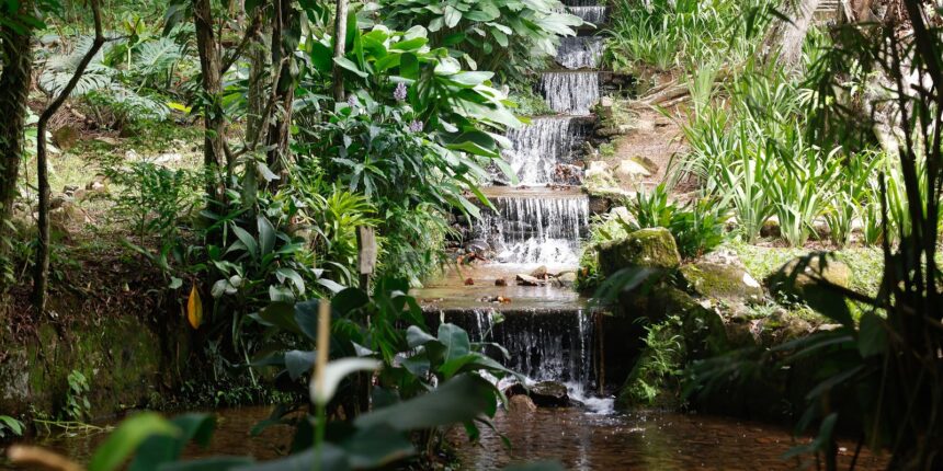 sistema-de-agua-com-mais-de-200-anos-abastece-jardim-botanico-do-rio