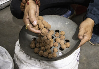 a-historia-das-enigmaticas-sementes-de-rudraksha-do-nepal-contada-atraves-de-fotos