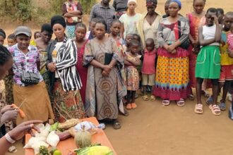 projeto-estimula-criacao-de-insetos-como-fonte-de-proteina-em-uganda