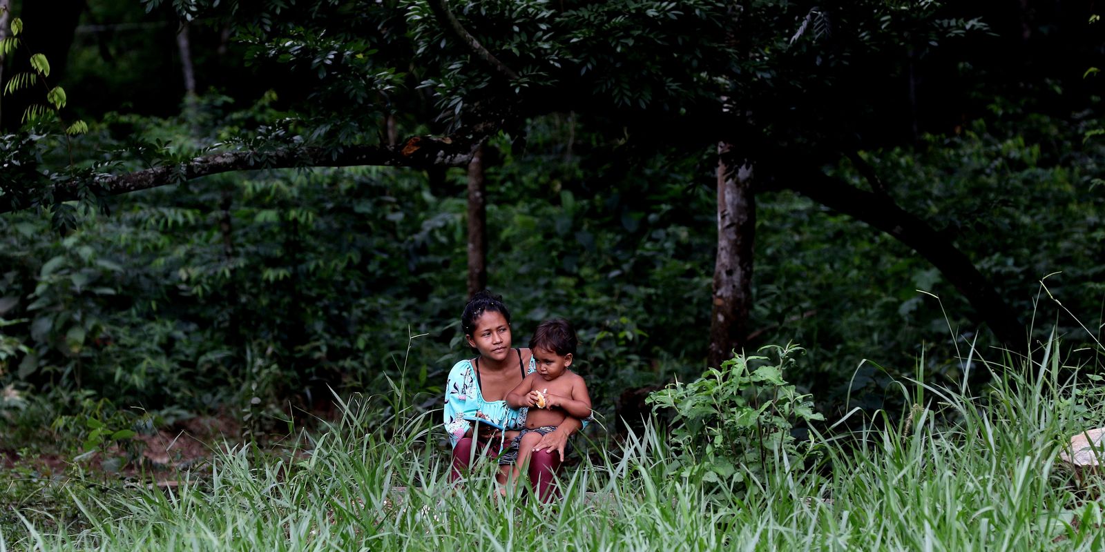 preservacao-de-biomas-em-terras-indigenas-e-31%-maior,-diz-isa 