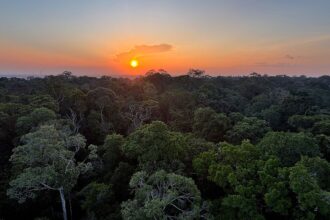 instituto-clima-e-sociedade-lanca-edital-para-projetos-que-usam-ia