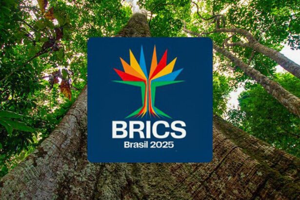 sociedade-civil-pode-se-inscrever-ate-o-dia-10-em-dialogo-do-brics