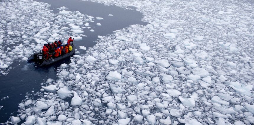 educacao-climatica-e-chave-para-frear-pontos-de-nao-retorno-da-terra