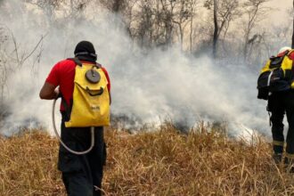 maranhao-tera-r$-45-milhoes-do-fundo-amazonia-para-combater-incendios
