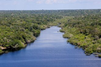 nova-etapa-do-projeto-restaura-amazonia-e-lancado-durante-atl