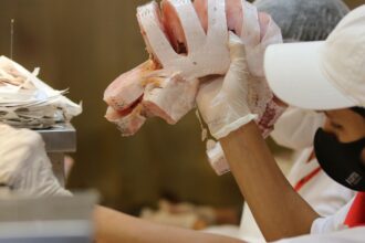 santa-feira-do-peixe-comeca-nesta-terca-feira-em-sao-paulo