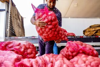 preco-da-cesta-de-produtos-da-pascoa-tem-queda-de-0,4%-no-pais