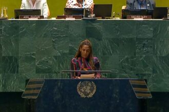 forum-da-onu-discute-situacao-de-pessoas-afrodescendentes