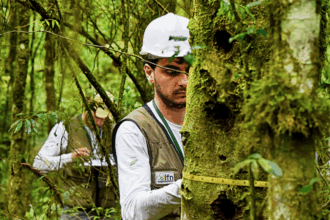 quantificar-a-biomassa-de-uma-floresta-e-fundamental-para-sucesso-do-mercado-de-carbono
