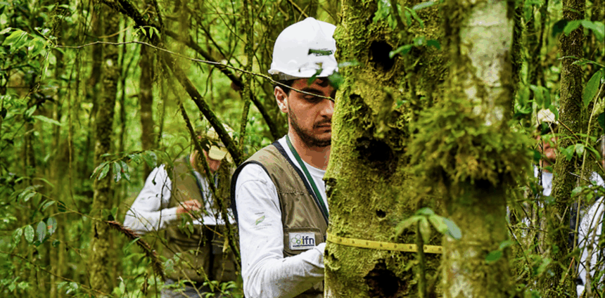 quantificar-a-biomassa-de-uma-floresta-e-fundamental-para-sucesso-do-mercado-de-carbono