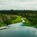 area-de-protecao-tera-trilha-ecologica-e-turismo-de-base-comunitaria