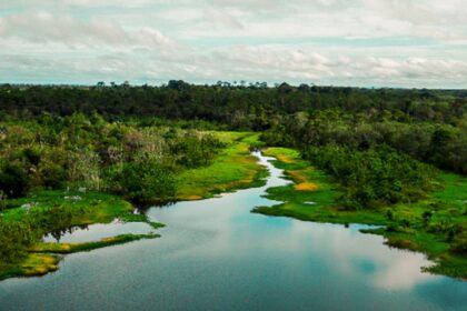 area-de-protecao-tera-trilha-ecologica-e-turismo-de-base-comunitaria