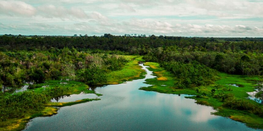 area-de-protecao-tera-trilha-ecologica-e-turismo-de-base-comunitaria
