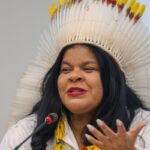 ministra-destaca-trabalho-inedito-na-protecao-dos-povos-indigenas