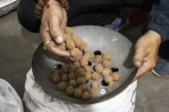 a-historia-das-enigmaticas-sementes-de-rudraksha-do-nepal-contada-atraves-de-fotos
