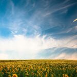 complementaridade-energetica:-um-conceito-que-nao-pode-mais-ficar-restrito-ao-meio-academico