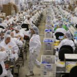 1o-de-maio:-pec-do-fim-da-escala-6×1-continua-fora-da-pauta-da-camara