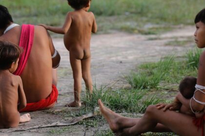 numero-de-obitos-no-territorio-yanomami-teve-reducao-de-21%-em-2024