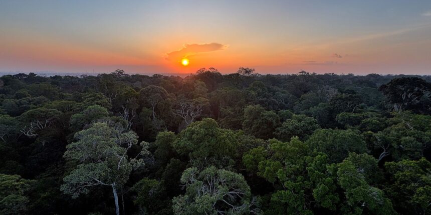 comeca-hoje-em-brasilia-a-5a-conferencia-nacional-do-meio-ambiente