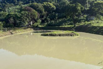 construcao-irregular-e-embargada-em-area-de-protecao-ambiental-no-rio