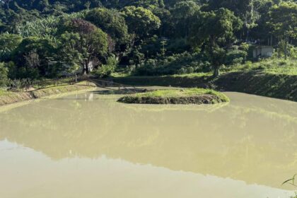 construcao-irregular-e-embargada-em-area-de-protecao-ambiental-no-rio