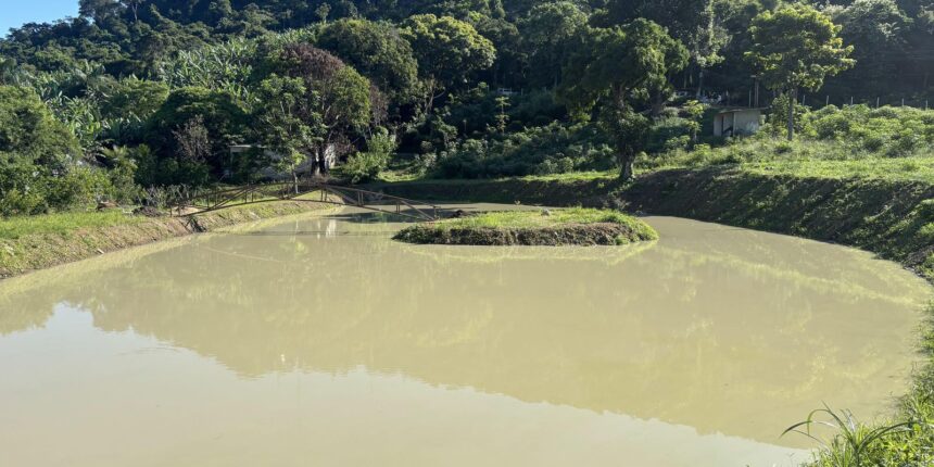 construcao-irregular-e-embargada-em-area-de-protecao-ambiental-no-rio