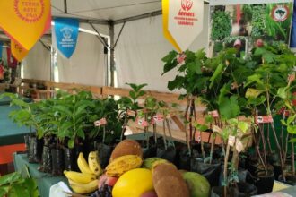 feira-da-reforma-agraria-oferece-alimentos-produzidos-por-acampamentos
