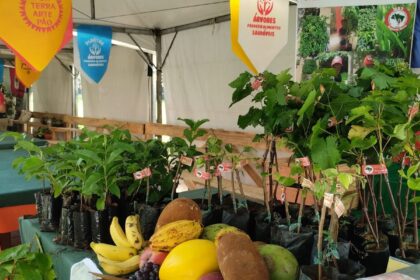 feira-da-reforma-agraria-oferece-alimentos-produzidos-por-acampamentos