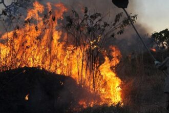 ibama-multa-242-pessoas-por-incendios-criminosos-em-2024